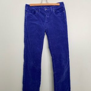 Patagonia blue corduroy pants. Size 28